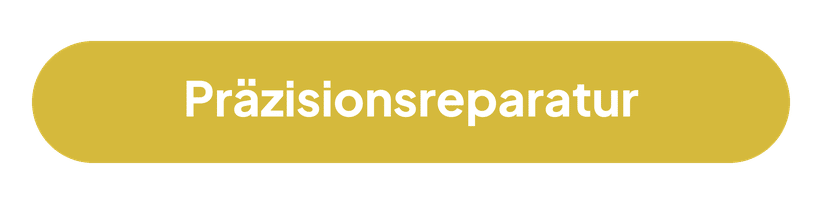 Präzisionsreparatur